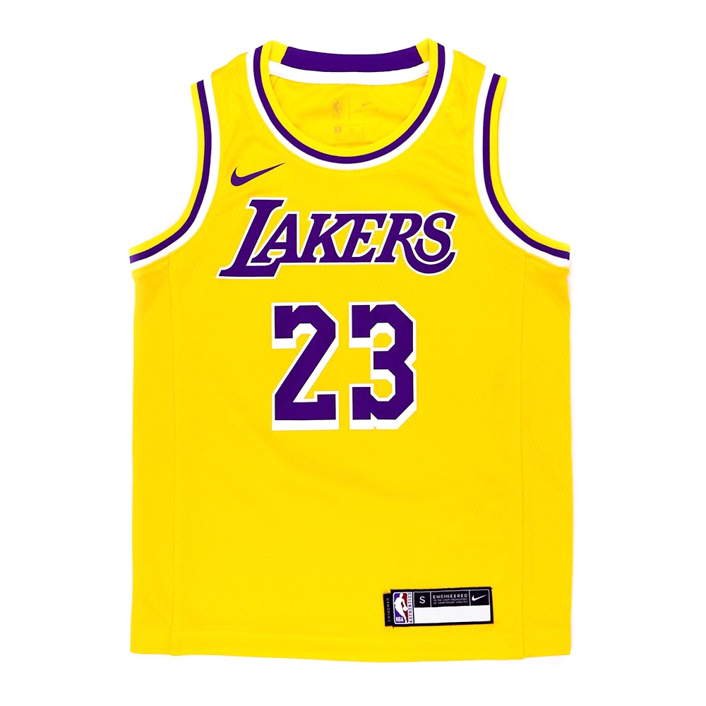 lebron james basketball vest