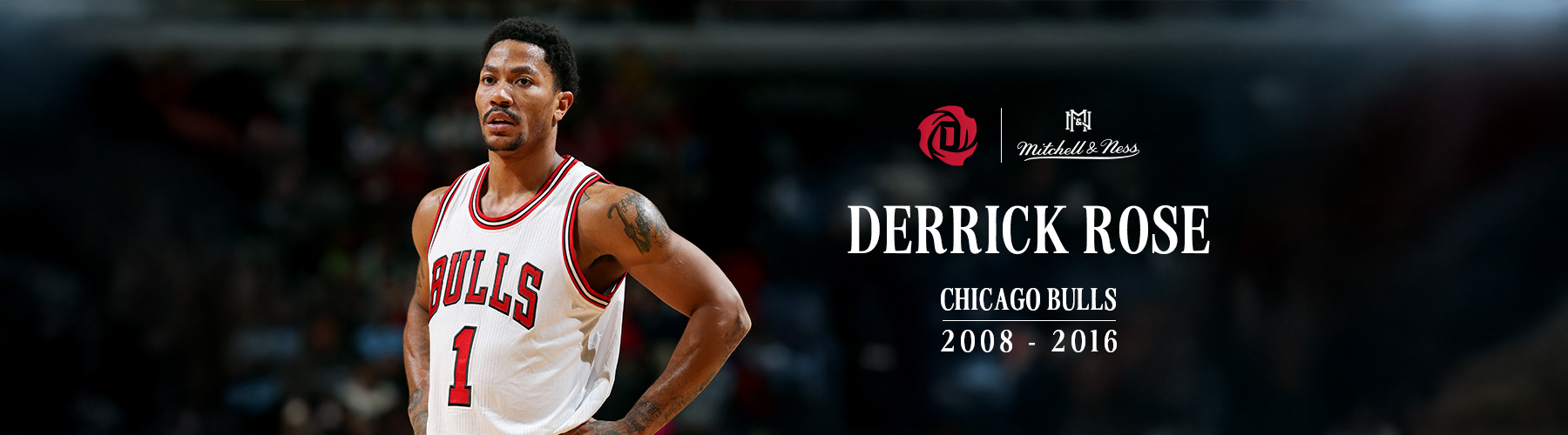 Derrick Rose Banner