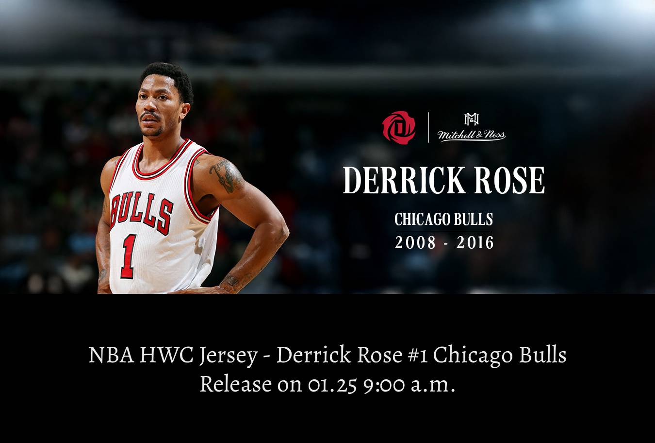 Derrick Rose Banner